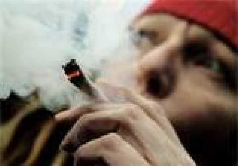 合法化，问题就解决吗？！（一）