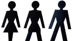 加拿大法案破壞性別區分 婦孺恐安全受威脅