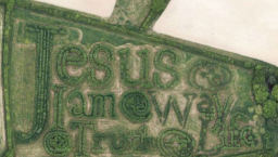 英國農夫人工植樹現巨大聖經金句