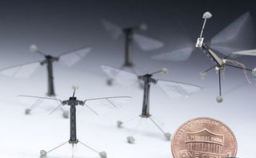 昆蟲機器人在哈佛孵化起飛 是福還是禍?