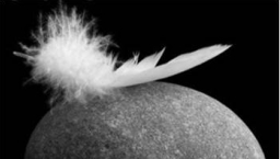 鄧瑞強博士 – 溫柔與嚴厲