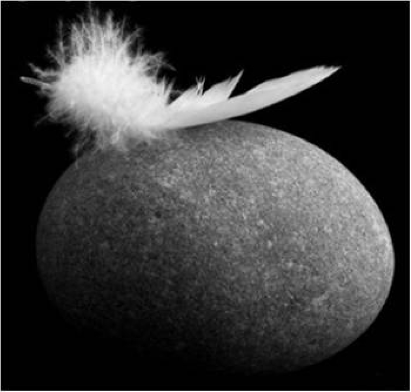 鄧瑞強博士 – 溫柔與嚴厲