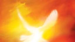 「回家」聚會八旬宣教士墮台意外險喪命