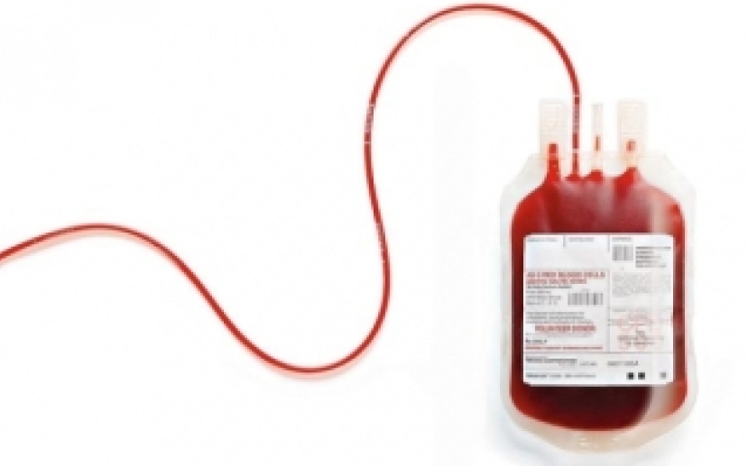 陳志全被拒捐血反應大 揭同性戀深層恐懼?