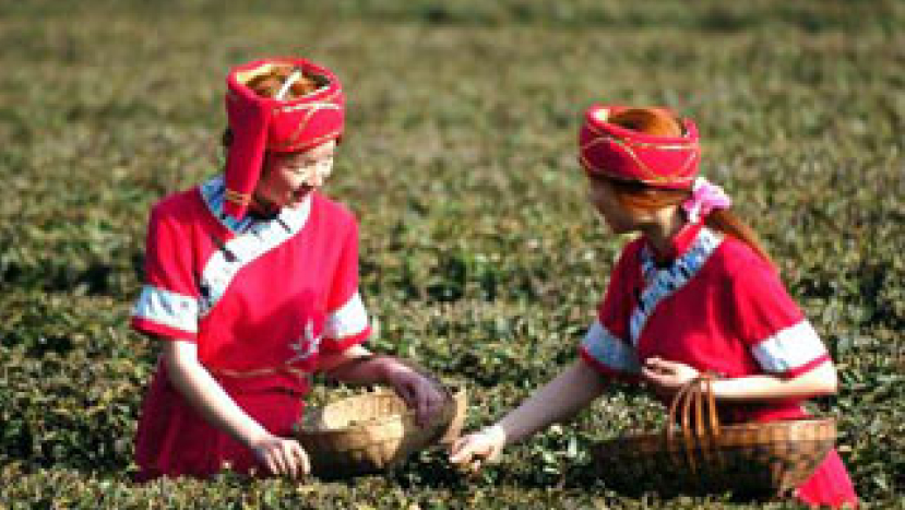 大陸異端二兩糧侵擾土家族 神州情籲代禱