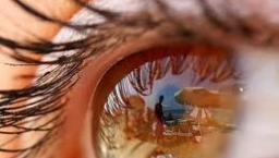 與眼睛立約——怎能戀戀瞻望處女呢﹖