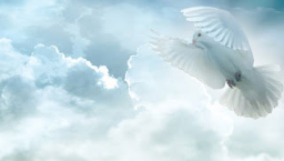 張景祥牧師:聖經與聖靈缺一不可