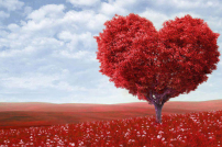 怎知時機成熟 可以談婚論嫁呢﹖