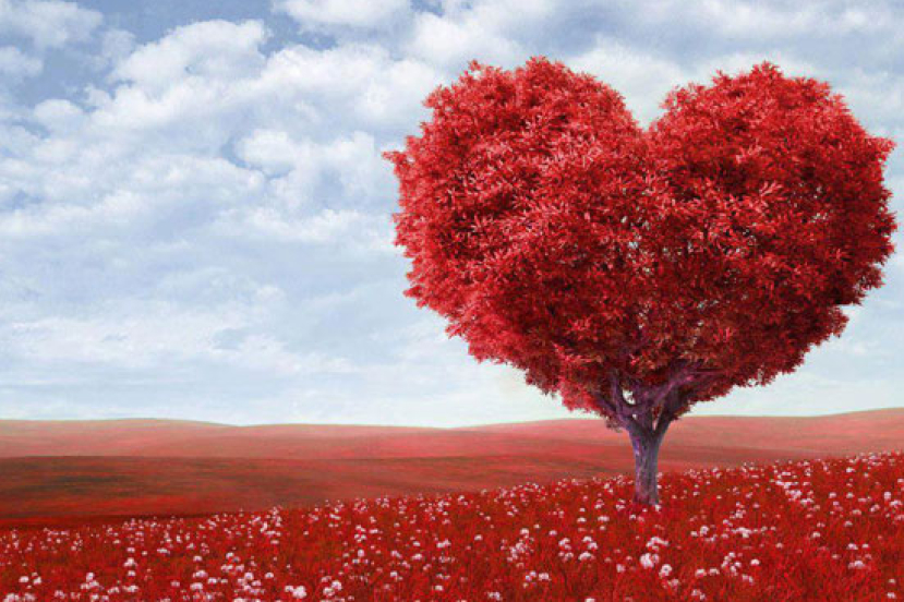 怎知時機成熟 可以談婚論嫁呢﹖