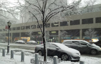 美東北迎來暴風雪 紐約市一夜換白裝