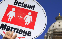 美同性婚姻支持率十年提升21% 兩代分歧大