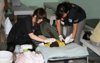 韓人氣女團Wonder Gilrs先藝將隨夫赴海地宣教五年