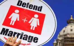 美密西根州同性婚姻禁令被裁違憲 暫緩執行