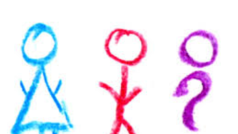 性別不是憑感覺 團體籲嚴格把關「變性人」定義