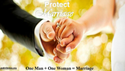 傳統婚姻岌岌可危 紐約華人教會在華府請願