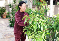 遠志明寫《母親的福氣》厚謝母愛