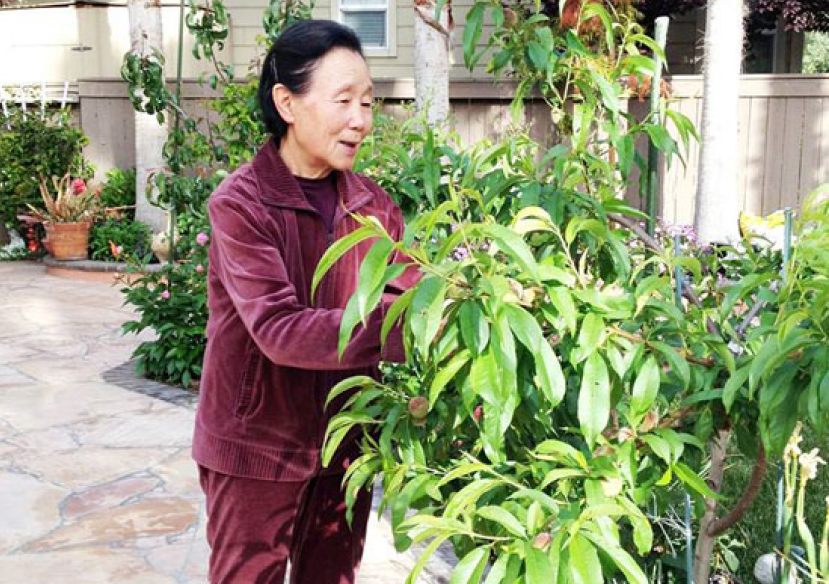 遠志明寫《母親的福氣》厚謝母愛