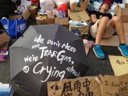 盧龍光「佔中」信仰反思：讓公義的上帝察驗各人的心腸肺腑