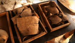 大衛城文物出土成《聖經》巴比倫毀耶路撒冷鐵證