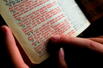 傳道人必看：媒體海量資訊 講道如何更震撼人心？