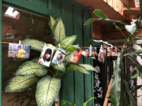 殉道年青中國宣教士李欣恒、孟麗思生平簡介