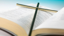 權力操控女性 美邪教NXIVM領袖被捕