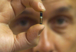 皮下晶片是「末日獸印」？上帝國度才是未來焦點