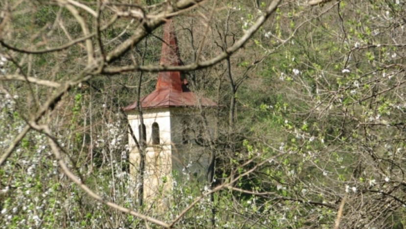 教會隱世？ 調查揭青少年離教導火線