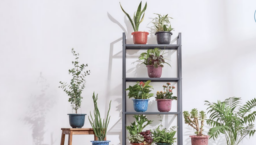 鞋商二代創業 環保鞋印《聖經》經文傳祝福