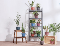 鞋商二代創業 環保鞋印《聖經》經文傳祝福