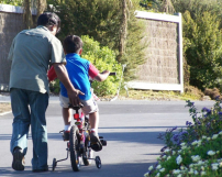 何志滌羅乃萱：父母調整角色子女負責成長