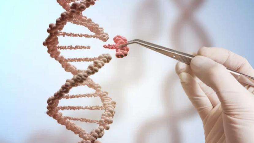 基因編輯嬰兒涉倫理與法律 學者提七點質疑