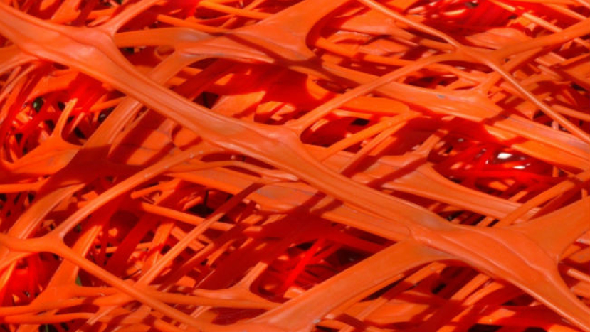 網紅年代福或禍？ 教會游走網絡世界需智慧