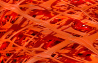 網紅年代福或禍? 教會游走網絡世界需智慧