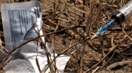 緬甸金三角半數村民染毒 傳道人救孤兒