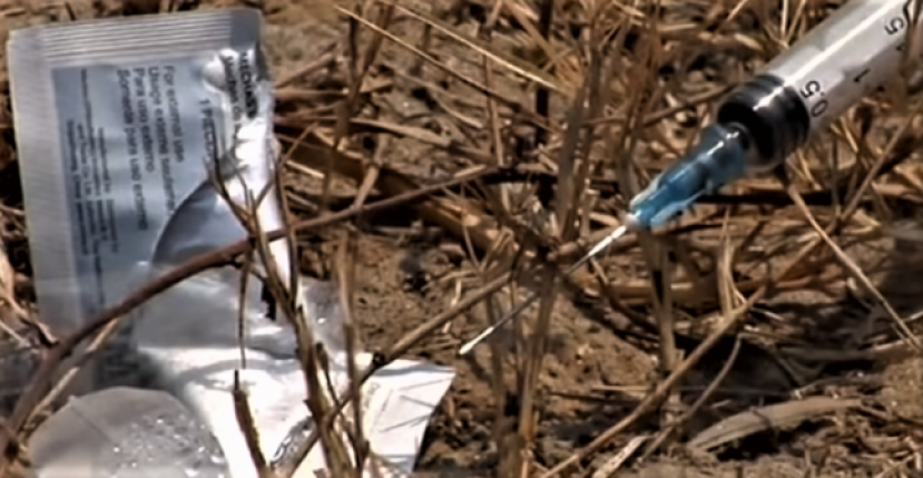 緬甸金三角半數村民染毒 傳道人救孤兒