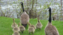 信仰代代相傳 學者冀父母活出信仰榜樣