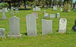 明光社訪16位長者看死亡:安葬從簡免煩後人