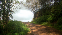 上帝是人永遠的家 唐崇榮牧師籲信徒為永恆而活