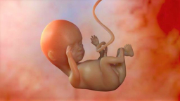 阿拉巴馬州性侵禁墮胎 保護胎兒權利為先？