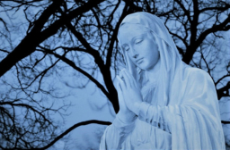 教牧參政去多盡? 神學院長冀生命改革社會