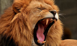 拒權力冒殉道 牧者籲信徒唯愛上帝