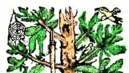 西班牙語聖經450周年 展出修士流亡翻譯史