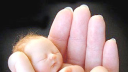 難以置信！三藩市禁公務員到訪反墮胎州分