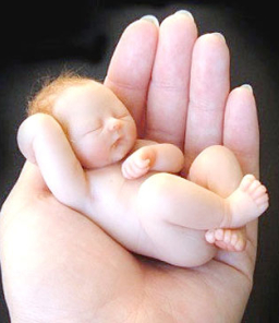 難以置信!三藩市禁公務員到訪反墮胎州分