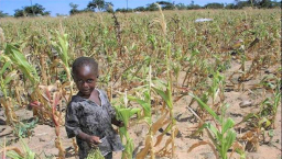 協進會世界公禱日 籲教界關注津巴布韋糧荒