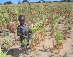 協進會世界公禱日 籲教界關注津巴布韋糧荒