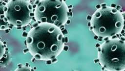 香港現首宗肺炎死亡個案 六宗教領袖祈全港市民同心抗疫