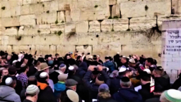 千人哭牆為中國抗疫求福 3名以色列人遊輪確診