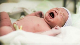 西弗吉尼亞州立法 醫生有責救活流產嬰兒